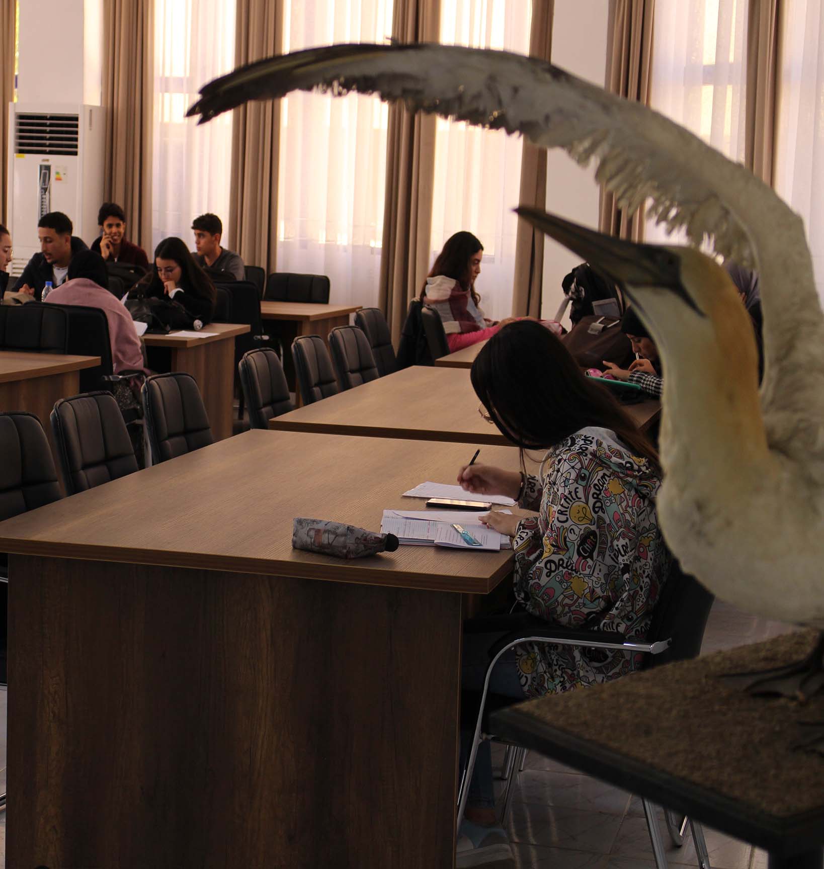 Des étudiants dans la bibliothèque